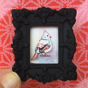 Albino Cardinal - Original Miniatur Aquarell Gemälde