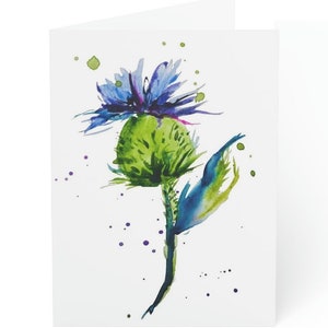 Thistle Watercolor Print Folded Greeting Cards (1, 10, 30, and 50pcs)