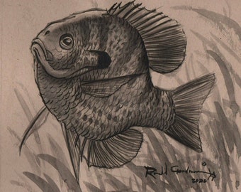 Fish Wildlife Bluegill Bream Perch Original Art, Fisherman Fishing Buddy Friend Him Her Gift, Stumpknocker Red Belly Crappie Art Drawing