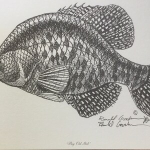 Regalo para un compañero de pesca, regalo para un pescador, arte de pesca de crappie, dibujo de speck, arte de perca moteada, impresión de sac-à-lait, decoración artística de cabaña de pesca