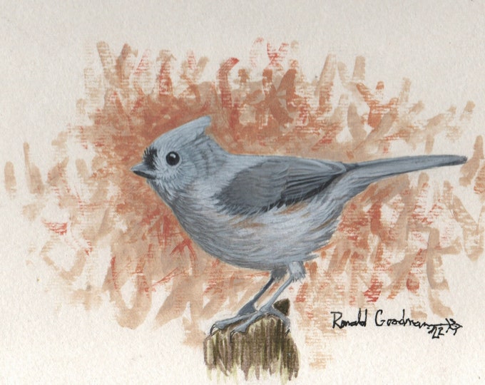Songbird Art Gift For Birdwatcher, Painting of Georgia Bird, Art Gift Of Titmouse, Wildlife Art of Eastern Birds, Songbird Art Gift
