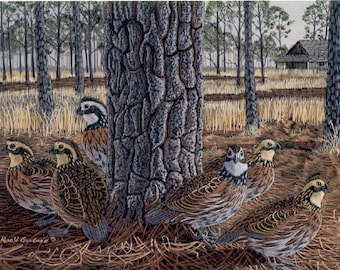 Wildlife Art, Bobwhite Quail Painting Print, Upland Game Bird Hunting Drawing, South Georgia Hunting Scene Artwork, Gift for Wing Shooter
