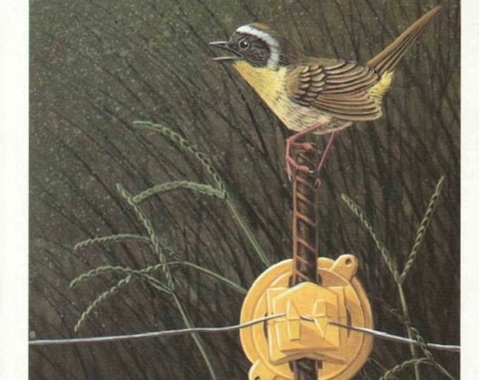 Bird Art, Birder Gift, Warbler Notecard, Wildlife Art, Bird Painting, Art by Georgia Artist, Ronald Goodman Notes, Common Yellow Throat Art