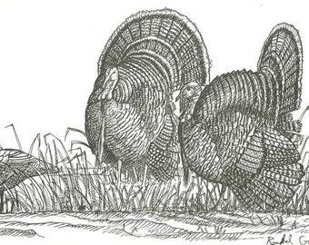 Wildlife Eastern Spring Turkey Spring Strut Gobbler Art Print, Signed and Number Limited Edition Hunting Giclee Artwork, Decoy Turkey Call