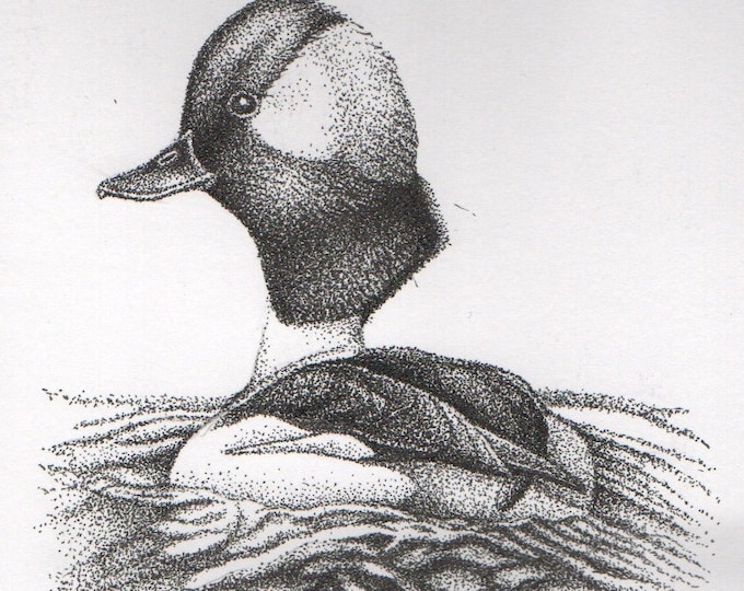 Wildlife, Hunting, Waterfowl, Ducks, Divers, Dabbling, Fishing, Georgia, Stippling, Pointillism, Dots, Ink, Fishing, Nature, Wildlife, Wings