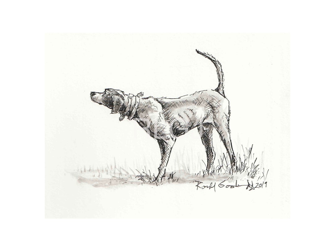 Bird Dog Art, Quail Hunter Gift, Bodwhite Art, Wildlife Art, Hunting