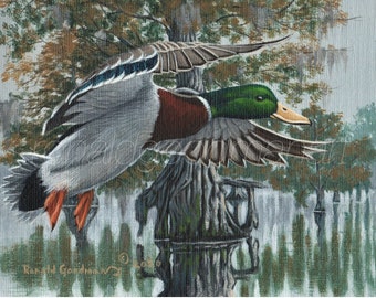 Mallard Duck Hunting Art, Art Created in Georgia, Wildlife Art of a Mallard Duck, Gift for a Waterfowl Hunter, Green Head Art Original