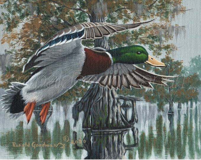 Mallard Duck Hunting Art, Art Created in Georgia, Wildlife Art of a Mallard Duck, Gift for a Waterfowl Hunter, Green Head Art Original
