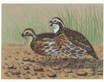 Wildlife Art Print, Limited edition prints, Ronald Goodman, Art Print, Wildlife Art, Hunting art, Landscape art, Bird dog print, Bird prints