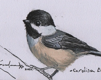 Carolina Chickadee Study, Mixed Media Original by Fitzgerald Georgia Artist Ronald Goodman, Wildlife Art, Bird Art