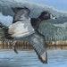 see more listings in the Wildlife Art section