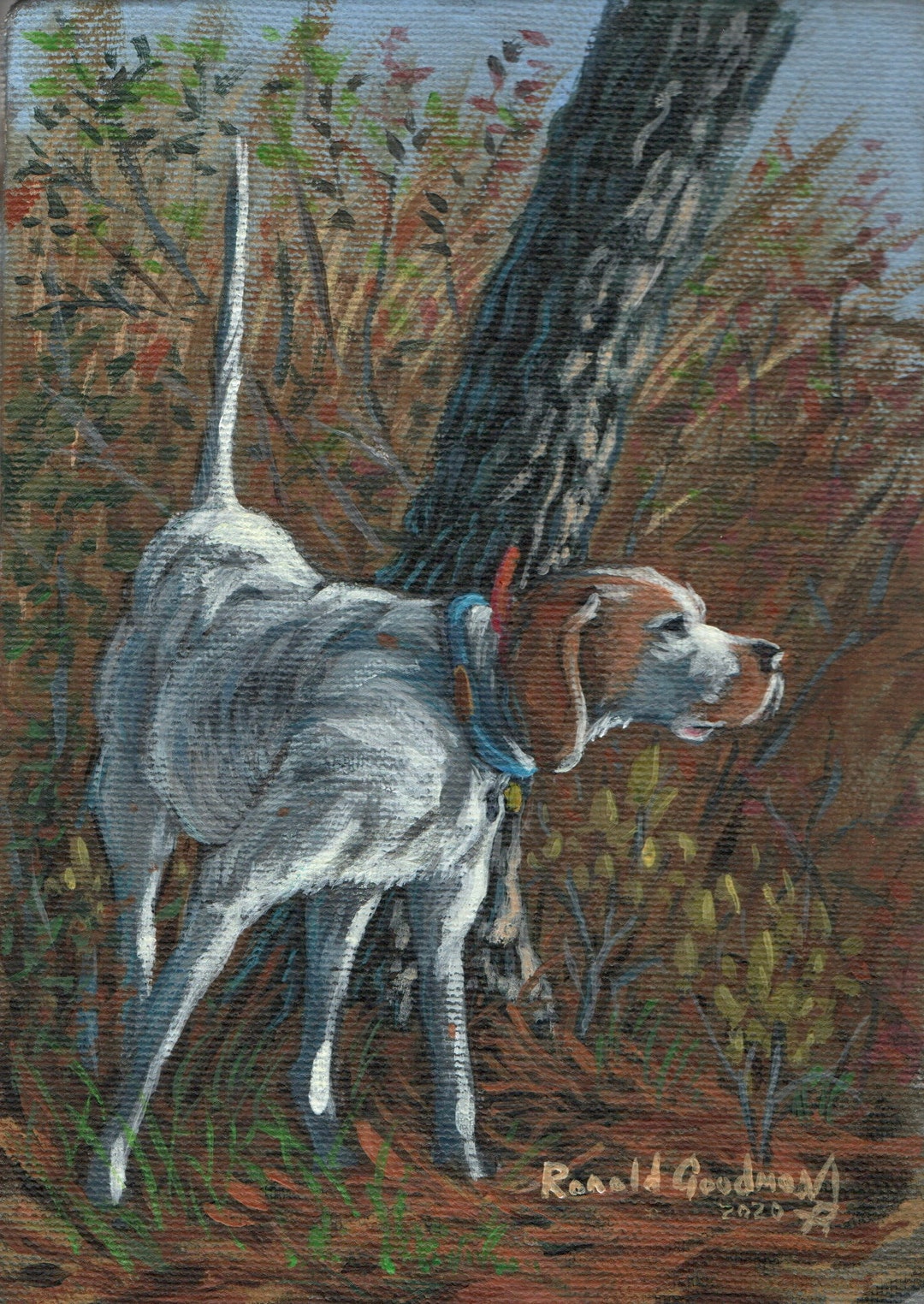 Bird Dog Painting Quail Hunting Art Print Upland Bird Etsy