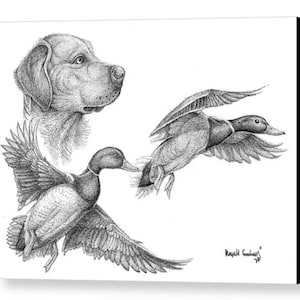 Songbird, Songbird Art, chickadee, paintings of wildlife, Fitzgerald, Georgia, artist, disabled artist, George disabled artist, nature, artist, landscape, artist, landscape art, Ronald Goodman art, farming art, combine art, paintings of tractors, drawings of tractors, south Georgia artist, bird art, fish artist, fish art, paintings of a bream drawings of a bream, bream,Duck and goose hunting, goose hunt, duck hunter, duck art, sportsman, sporting dog art, Labrador retriever, Labradoodle, duck