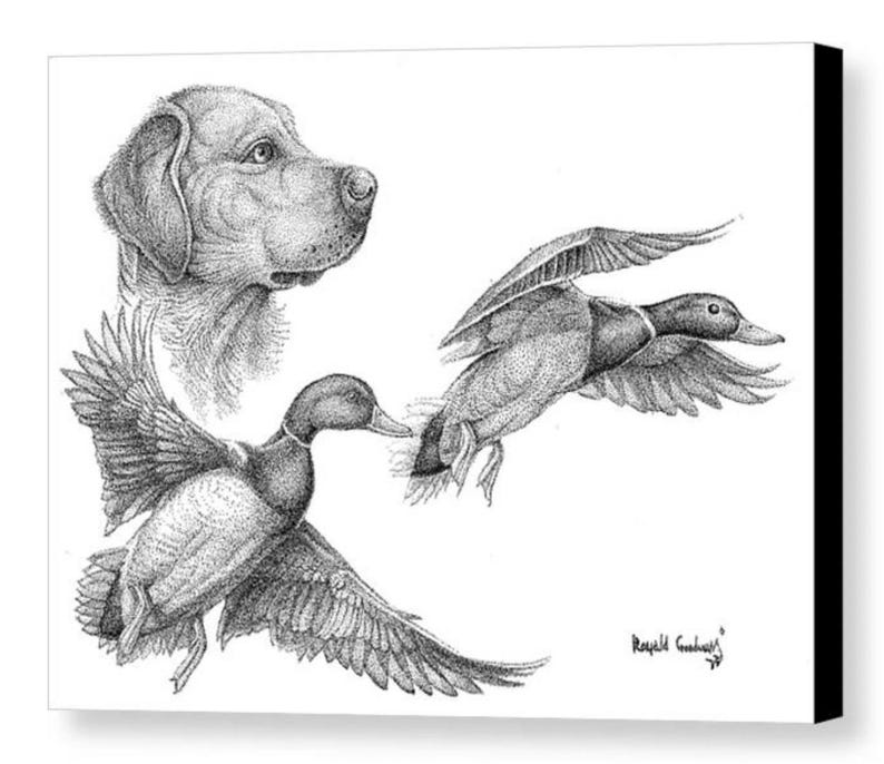 Songbird, Songbird Art, chickadee, paintings of wildlife, Fitzgerald, Georgia, artist, disabled artist, George disabled artist, nature, artist, landscape, artist, landscape art, Ronald Goodman art, farming art, combine art, paintings of tractors, drawings of tractors, south Georgia artist, bird art, fish artist, fish art, paintings of a bream drawings of a bream, bream,Duck and goose hunting, goose hunt, duck hunter, duck art, sportsman, sporting dog art, Labrador retriever, Labradoodle, duck