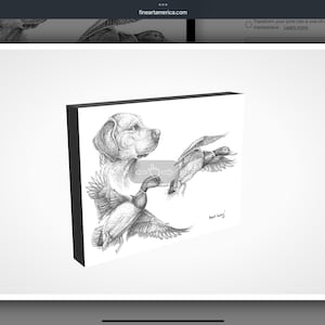 Pictures of Labrador retrievers, pictures of mallard ducks, paintings of mallard ducks, drawings of mallard ducks, sketches of mallard ducks, black-and-white pictures of mallard ducks, pictures of mallards flying in tall timber, paintings by wildlife artists, notecards by wildlife artist for sale, wildlife art cards, cards that have Bob White Quail on them, greeting cards for bird lovers, greeting birders, birding art, birds, in art, fishing paintings, paintings of panfish drawings