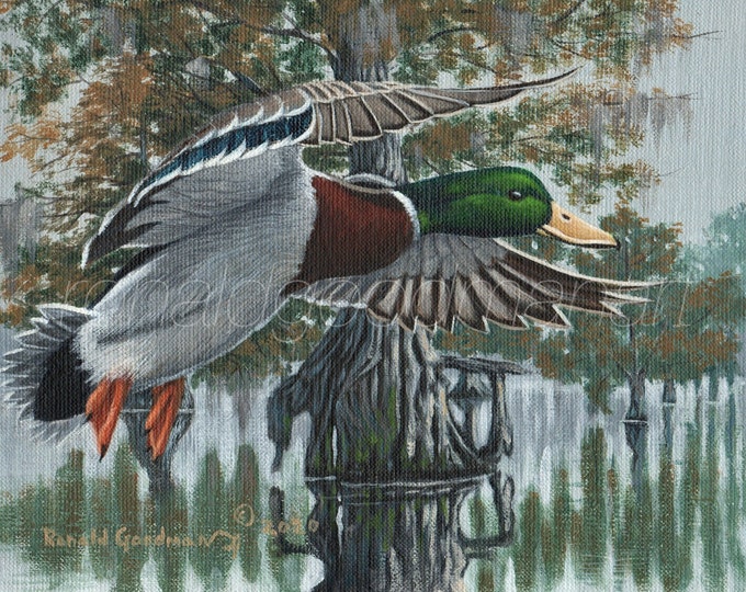 GreenHead Mallard Duck Hunting Art, Wildlife Art Print, Mississippi Flyway Hunting Artwork, Mallard Drake Painting, Gi’clee of Water Fowl
