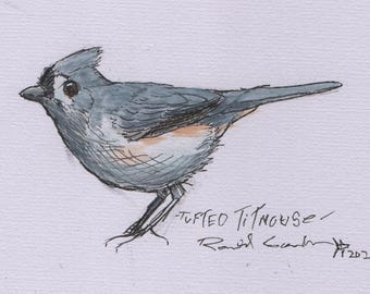 Birder Gift, Painting of a Tufted Titmouse, Wildlife Art, Art for A Rustic Cabin, Wedding Gift for a Bird Lover, Gift for a Bird Watcher