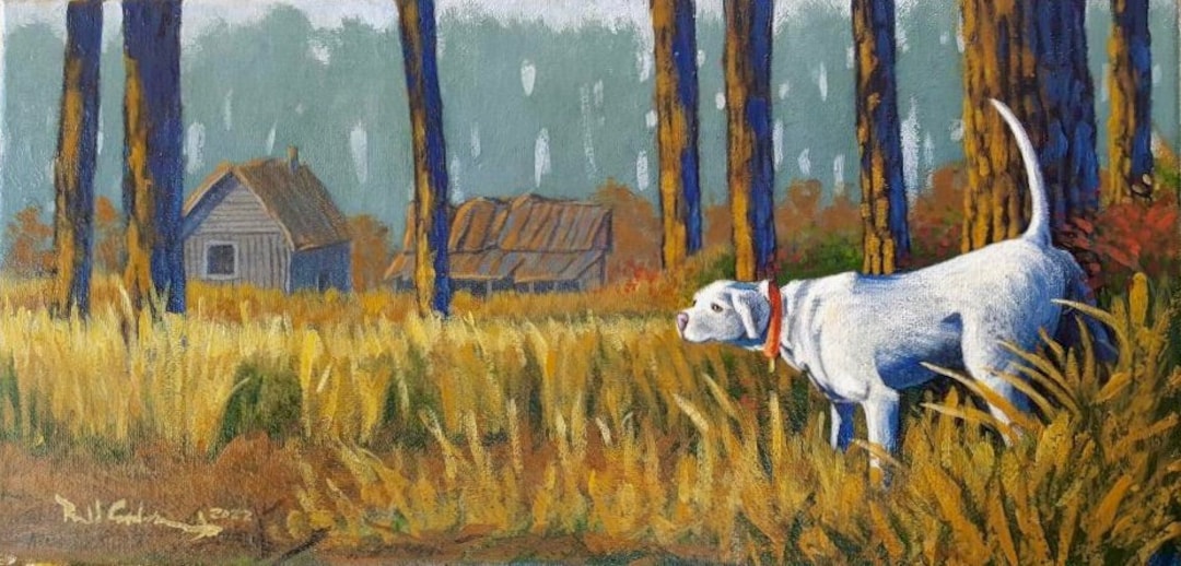 Bird Dog Art, Hunting Artwork, Dog Pet Portrait, Quail Bird Drawing