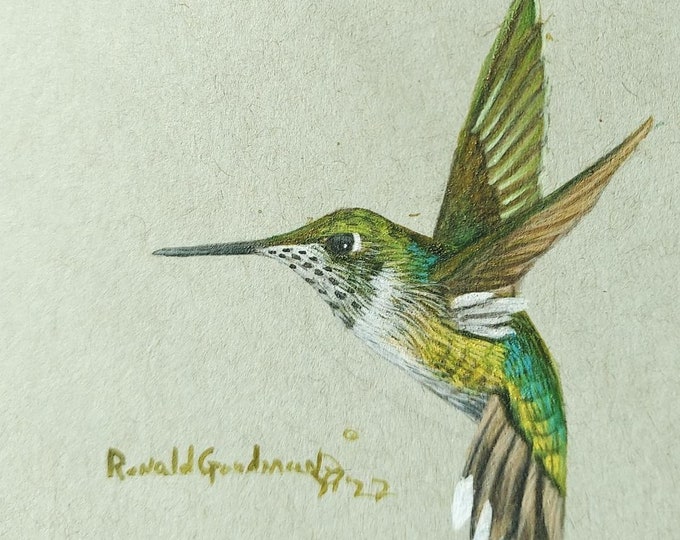 Housewarming Gift for Bird Enthusiast, Present for Hummingbird Lover, Ruby Throated Hummer Themed Painting, Bird Art by Georgia Artist