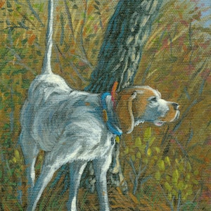 Bobwhite quail hunting art, Bird dog, art, Sporting dog painting, Hunting art, Pointing dog sketch, Wildlife art, Ronald Goodman, Art