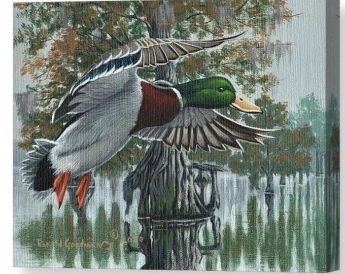Mallard Duck Canvas Print: Signed Wildlife Art by Ronald Goodman, Waterfowl Painting, Duck Hunter Gift, Art Fot Hunting Cabin or Lodge