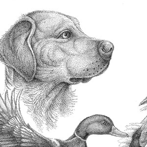 drawings of bird dogs, paintings of bird dogs, watercolor paintings of dogs, dog paintings, water, color, paintings acrylic paintings, oil, paintings, pencil paintings, paintings, portrait paintings, paintings of South Georgia landscape, Florida fishing art, paintings of red fish, paintings of speckled trout, paintings of flounder, paintings of warblers, drawings of warblers, wild,
