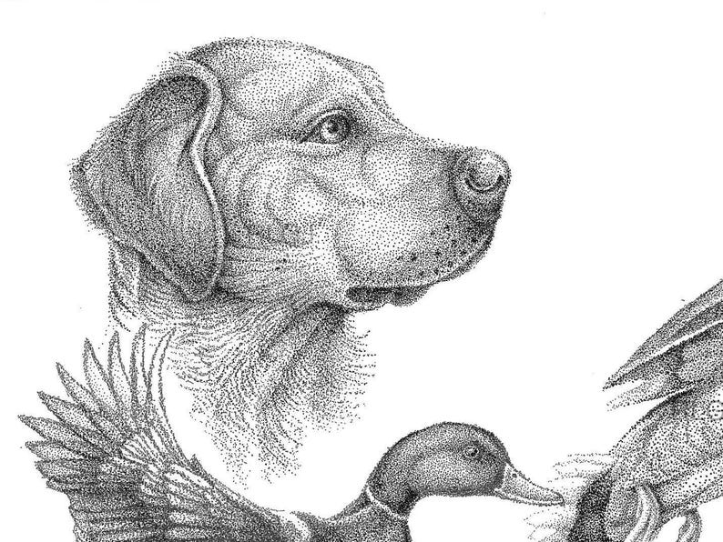 drawings of bird dogs, paintings of bird dogs, watercolor paintings of dogs, dog paintings, water, color, paintings acrylic paintings, oil, paintings, pencil paintings, paintings, portrait paintings, paintings of South Georgia landscape, Florida fishing art, paintings of red fish, paintings of speckled trout, paintings of flounder, paintings of warblers, drawings of warblers, wild,