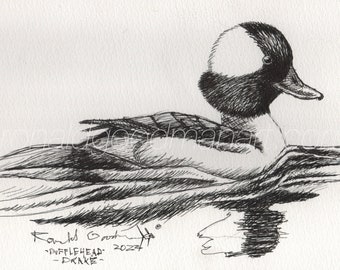 Georgia Made Art, Waterfowl Hunter Gift, Drawing of A Bufflehead Diving Duck, Birthday Present for Hunter, Cabin and Home Decorating