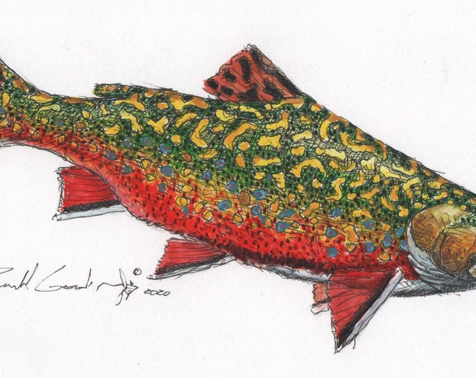Brook Trout Limited Edition Print Created by Ronald Goodman, Wildlife Fish Art, Gift for an Angler, Art for Fish Camp Cabin, Fly Fishing Art