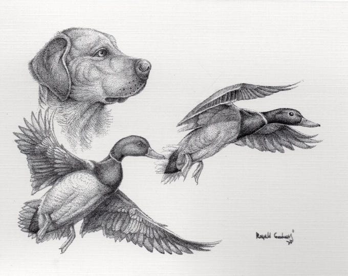 7”x5” Notecards and Envelopes, Stationary, Greeting Card, Mallard and Lab Dog Notes, Hunter Gift, Waterfowl Art Notecards, Bird Dog Notecard