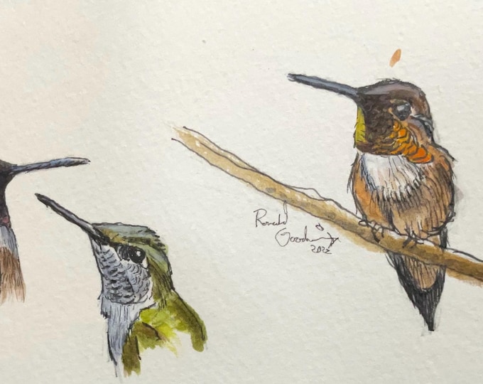 Ruby Throated Hummingbird Bird Journal, Bird Study Drawing, Wildlife Sketch, Original Paint of Hummingbirds, Gift for Birder