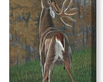 Licking Branch Stretched Canvas Print, Ronald Goodman Art, Whitetail Deer Painting, Wildlife Art, Hunting Art Gift, Deer Cabin Decoration