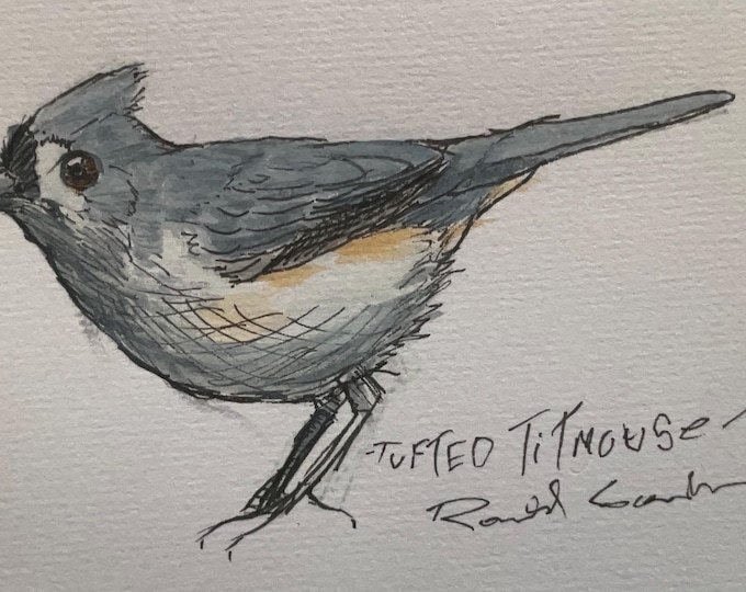 Tufted Titmouse Study, Mixed Media Original by Fitzgerald Georgia Artist Ronald Goodman