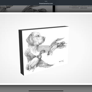 Pictures of Labrador retrievers, pictures of mallard ducks, paintings of mallard ducks, drawings of mallard ducks, sketches of mallard ducks, black-and-white pictures of mallard ducks, pictures of mallards flying in tall timber, paintings by wildlife artists, notecards by wildlife artist for sale, wildlife art cards, cards that have Bob White Quail on them, greeting cards for bird lovers, greeting birders, birding art, birds, in art, fishing paintings, paintings of panfish drawings