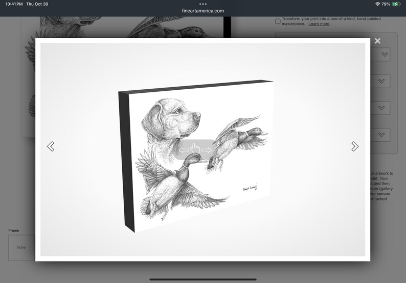 Pictures of Labrador retrievers, pictures of mallard ducks, paintings of mallard ducks, drawings of mallard ducks, sketches of mallard ducks, black-and-white pictures of mallard ducks, pictures of mallards flying in tall timber, paintings by wildlife artists, notecards by wildlife artist for sale, wildlife art cards, cards that have Bob White Quail on them, greeting cards for bird lovers, greeting birders, birding art, birds, in art, fishing paintings, paintings of panfish drawings