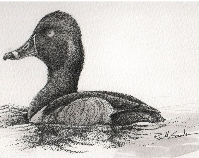 Wildlife Duck Art Bird Waterfowl Diving Duck Ring-Neck Duck Original Hunting Acrylic Painting Drawing Sketch Stamp Marsh Outdoor