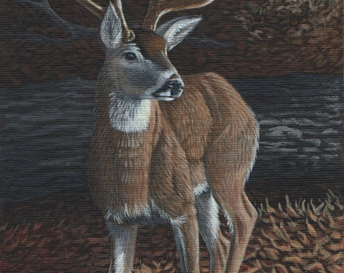 Wildlife Art Whitetail Deer Painting Georgia Made Art by Ronal Goodman Whitetail Hunter Gift Big Buck Painting Painting of Deer Sketch