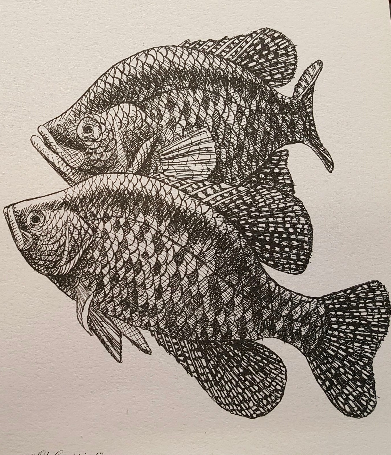 Crappie Wildlife Fish Georgia Made Art Perch Bluegill Bream