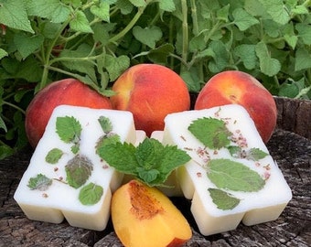 Peaches And Mint Scented Wax Melts, Strongly fragranced wax tarts, wax melts with natural botanical. Explore Now!!