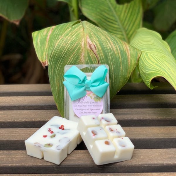 Eucalyptus & Spearmint Natural Soy Wax Melts, Wax Warmers Melts, Relaxing Scent. Explore Now!