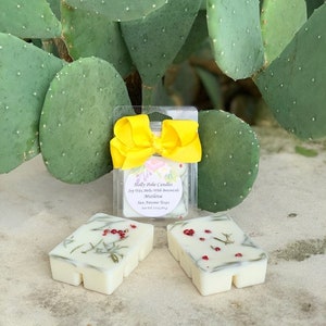 Mistletoe Soy Wax Melts, Holiday Wax Melts, Highly Scented Wax Melts. Explore Now!!!