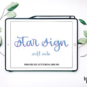 Op de afbeelding: Een digitaal tabletscherm waarop een Procreate-letterpenseel wordt weergegeven met de naam "Star Sign soft nib". Het penseel is blauw en paars met een stervormig patroon.