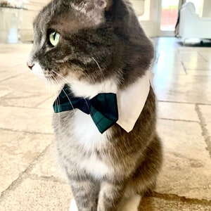 Holiday bow tie and shirt collar for cats or dogs
