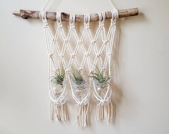 Mason Jar Air Plant Holder
