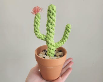 Macrame Cactus