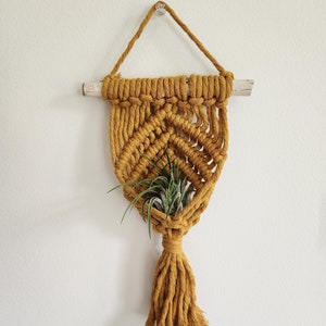Air Plant Holder / Air plant hanger