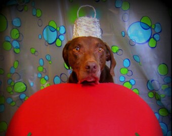 Dog Christmas Ornament Handmade Card
