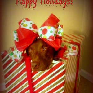 Dog Christmas Present Handmade Card