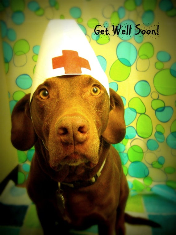 Dog Get Well Soon HandmadeCard | Etsy