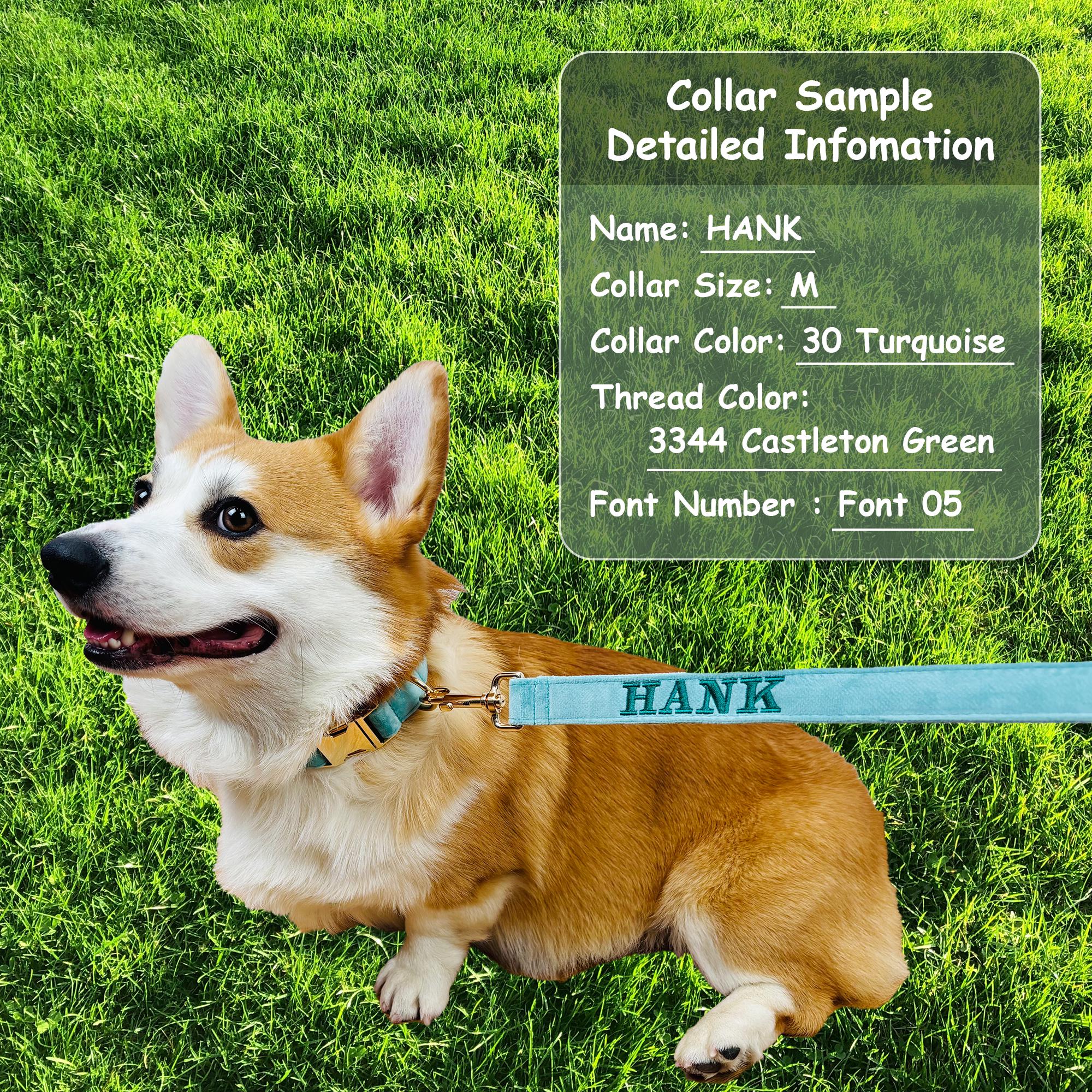 Personalized Embroidered Dog Leash, Personalized Velvet Dog Leash ...